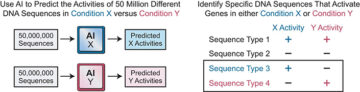 Artificial intelligence catalyzes gene activation research and uncovers rare DNA sequences