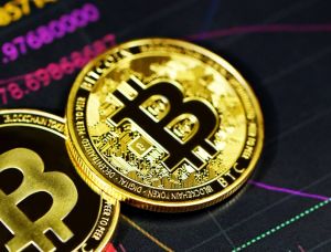 Bitcoin bricht den täglichen Transaktionsrekord, da das traditionelle Bankensystem vor einer Krise steht
