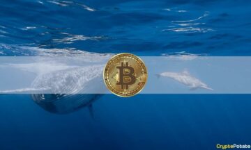 Bitcoin Whales kogus 2.3 nädalaga BTC väärtuses 5 miljardit dollarit: andmed