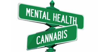 Cannabis forårsaker schizofreni: Studie