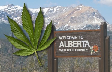 Cannabis Tourism in Alberta