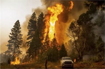 Carbon emissions cause almost 40% western wildfires