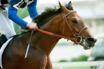 Churchill Downs uruchamia sondę, gdy śmierć koni przyćmiewa narastanie Kentucky Derby