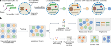 Conservazione del DNA in microcapsule termoreattive per l'accesso ai dati multiplex casuali ripetuti
