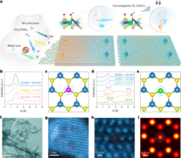 Catalizzatore di spin ferromagnetico a singolo atomo per aumentare la scissione dell'acqua - Nature Nanotechnology