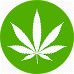 Green Thumbs omsætning stiger, efterhånden som flere amerikanske stater tillader brug af marihuana
