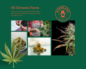 رویاهای خود را با Hi Dreams Farm جمع کنید: برتری ارگانیک را کشف کنید