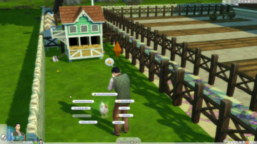 Comment nettoyer vos poulets dans les Sims 4