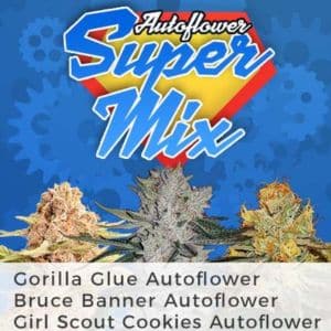 Autoflower Super Mix Pack