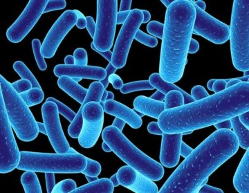 Intratumoral bacteria linked with natural purple photosynthetic bacteria show strong anticancer efficacy