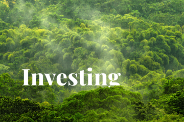 Investing in trees: How global companies are protecting and restoring forests