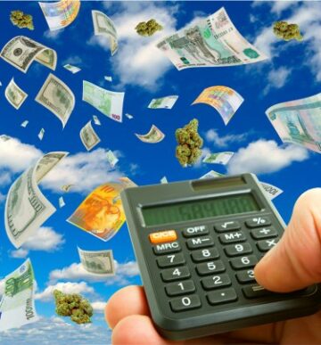 ¿Son buenos $30 mil millones en ingresos y $4 mil millones en pérdidas? - La industria del cannabis en 2022