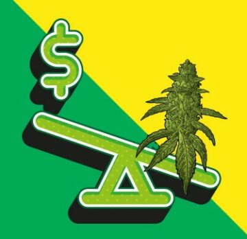 Er det bra eller dårlig at cannabisprisene fortsetter å falle som en stein?