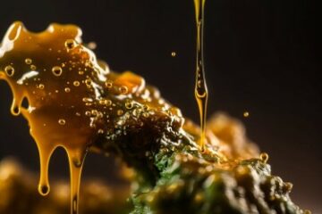 Live Resin vs. Full Spectrum - 6 Facts You Should Know about These Extracts