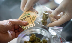 カリフォルニア州などが苦戦する中、メイン州は合法大麻問題を正しく理解している