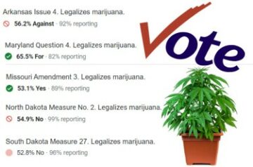 Il Maryland ha appena legalizzato l'erba, ecco tutto quello che c'è da sapere sul lancio della cannabis ricreativa