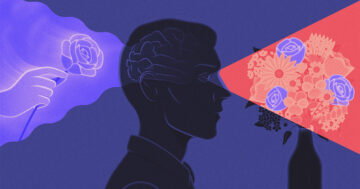 Kenangan Membantu Otak Mengenali Peristiwa Baru yang Layak Diingat | Majalah Quanta