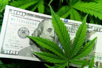 I legislatori del Montana approvano il disegno di legge sulla tassa sulla cannabis