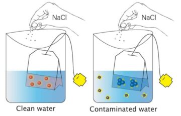 Nanoparticle sensors detect arsenic in drinking water – Physics World