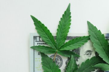 大麻政策项目的新报告审查了八年的大麻税收