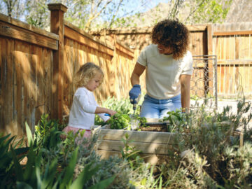 Plant, Grow, Harvest: Your Guide to Starting a Vegetable Garden for Your Home