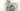 আসন্ন জেনশিন ইমপ্যাক্ট 3.7 আপডেটের জন্য কিরার একটি প্রচারমূলক চিত্র।