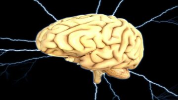 Pulvinar Neuro krijgt financiering voor onderzoek naar transcraniale stimulatie