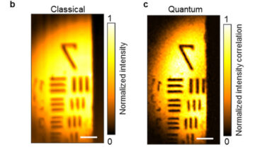 Kvantintrassling av fotoner fördubblar mikroskopupplösningen