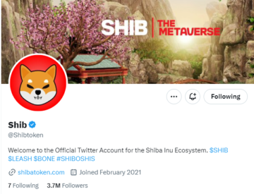 Ekosystem Shiba Inu: Sekretny sos do dominacji memów