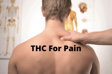 THC til smerte: virkninger, fordele og anvendelser - Hail Mary Jane ®