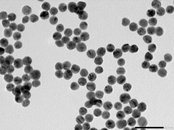 Den antimikrobiella potentialen hos nanopartiklar