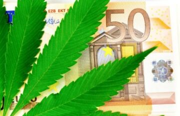 Kampen for at legalisere ukrudt i Europa - Hvilke lande er pro-cannabis, og hvilke lande trækker sig tilbage?