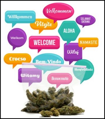 La guía internacional para obtener marihuana en los 5 idiomas más populares del mundo