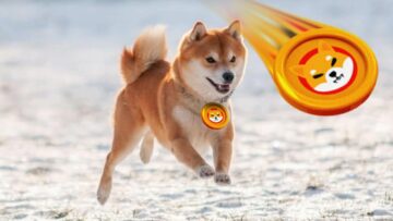 The Shiba Inu is testing the January support zone