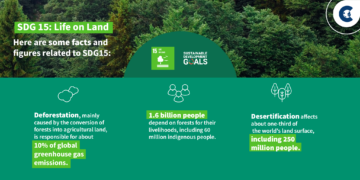 Metsastamise ja taasmetsastamise mõistmine: mõju vabatahtlikule süsinikuturule – kliimakaubandus