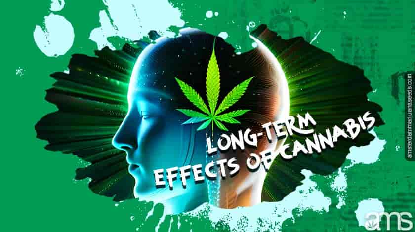abstract human head with a cannabis leaf