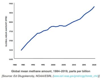 ¿Cuáles son los efectos de las emisiones de metano y por qué debería importarnos?
