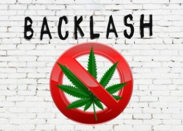 Mikä on Cannabis Backlash? - Thaimaan kaltaisten maiden äänestäjät vastustavat rikkaruohojen laillistamista