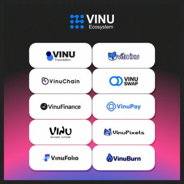 What is VINU and How To Use It to Gain Profit?