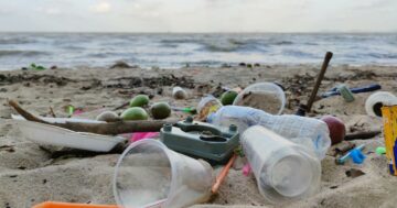 Perché CDP ha introdotto la reportistica sulla plastica | GreenBiz
