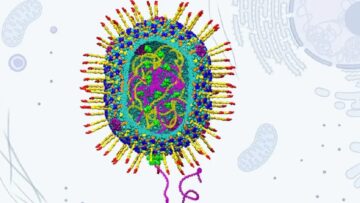 Отвратительный вирус, поражающий бактерии, может быть ключом к улучшению генной терапии