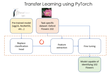 Una guida pratica per trasferire l'apprendimento utilizzando PyTorch - KDnuggets