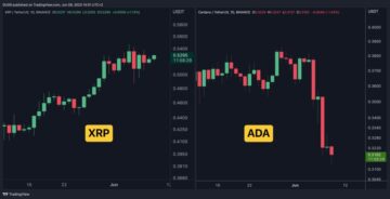 Analyzing XRP's Resilience and Cardano's Struggles in the Crypto Market