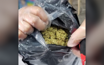 BOC confiscă marijuana P2.5-M declarată drept blugi denim - Medical Marijuana Program Connection