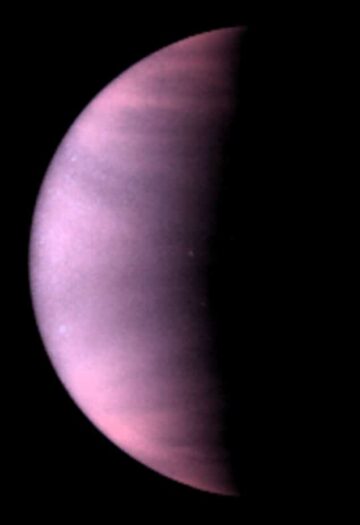 天文学家说，DNA 的组成部分可以在金星的腐蚀性云层中存活 – Physics World