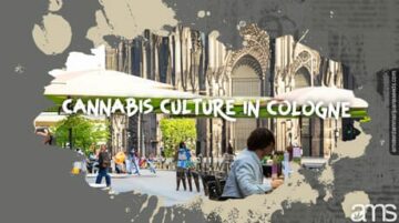 Cannabis Culture in Cologne: A Tale of Change and Progress