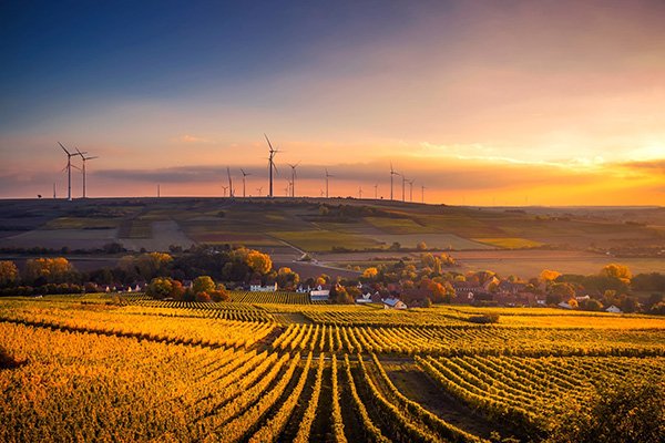 Sustainability With Renewal Energy Production