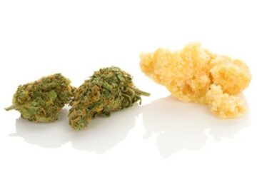 Crmbl o Crumble? - Cos'è il Crumble alla Cannabis e Come Si Consuma?