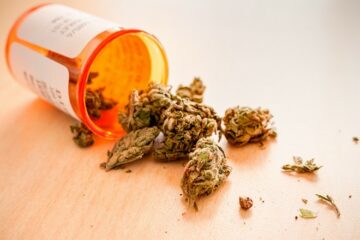 Генеральний прокурор Флориди заявив, що поправка про рекреаційну марихуану «вводить в оману виборців» | Новини каннабіса | Орландо - Підключення до програми медичної марихуани
