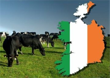 Ireland proposes culling 200,000 cows, farmers push back